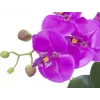 EUROPALMS umelá orchideová aranžmán 4, biela phalaenopsis v keramickom kvetináči, 60 cm 82530349