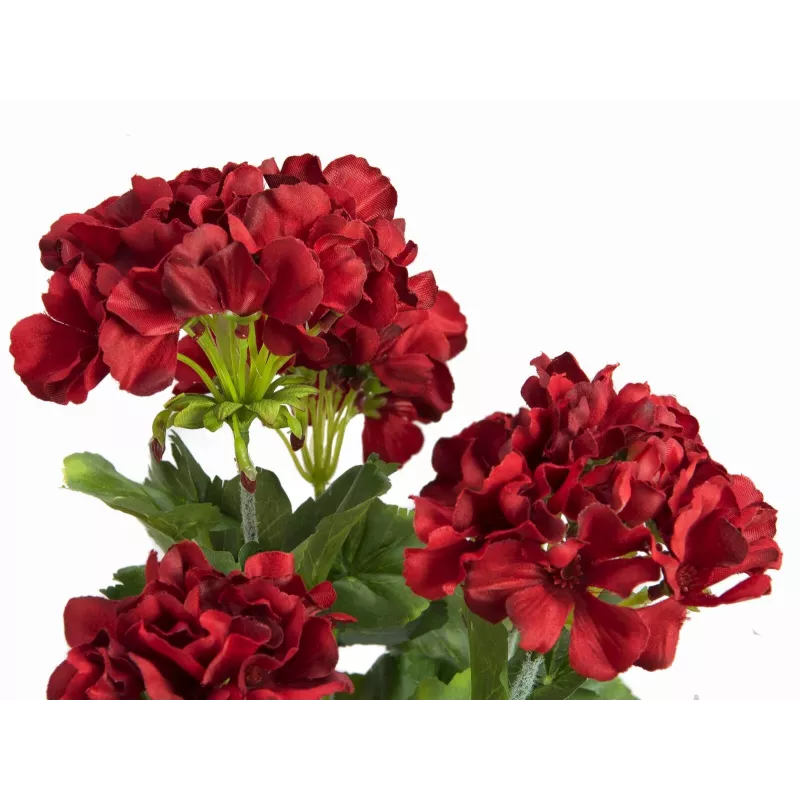 EUROPALMS umelá pelargónia, tmavočervená, 42 cm 82600112