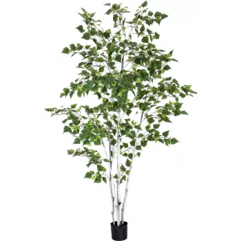 EUROPALMS umelá breza, 210 cm 82505232