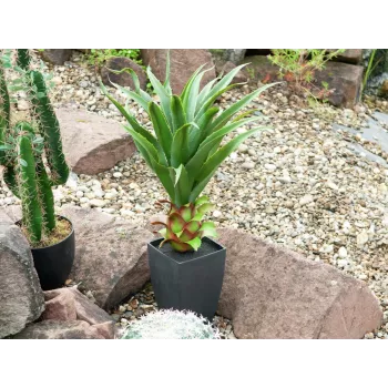 EUROPALMS agáve v kvetináči, umelá rastlina, 75 cm 82600160