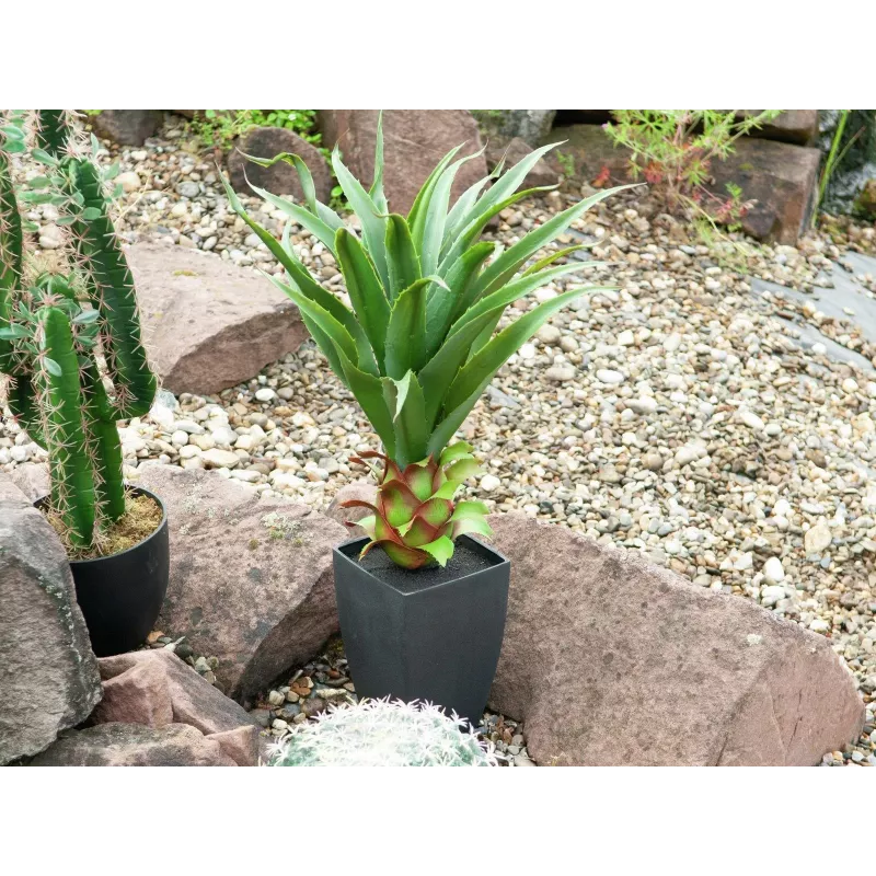 EUROPALMS agáve v kvetináči, umelá rastlina, 75 cm 82600160