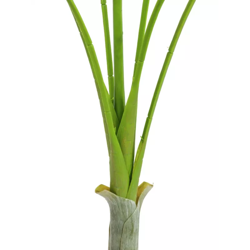 EUROPALMS Areca deluxe umelá rastlina, 180 cm 82509443