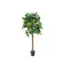 EUROPALMS umelý citrónovník, 180 cm 82507816