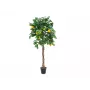 EUROPALMS umelý citrónovník, 180 cm 82507816