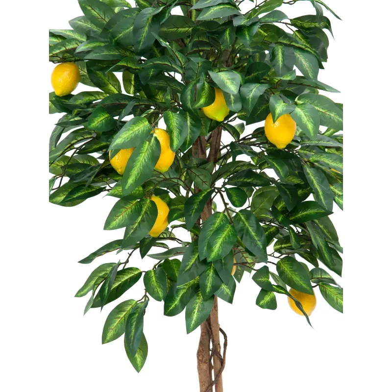 EUROPALMS umelý citrónovník, 180 cm 82507816