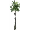 EUROPALMS umelý Pachira peňazostrom, 160cm 82600165