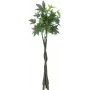 EUROPALMS umelý Pachira peňazostrom, 160cm 82600165
