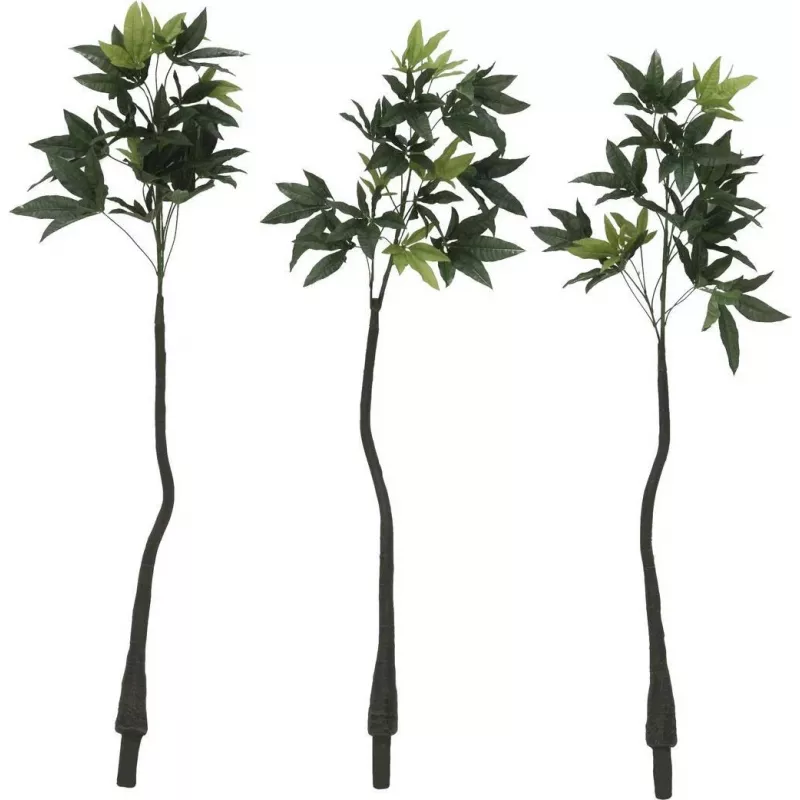 EUROPALMS umelý Pachira peňazostrom, 160cm 82600165