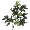 EUROPALMS umelý Pachira peňazostrom, 160cm 82600165