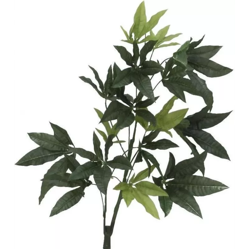 EUROPALMS umelý Pachira peňazostrom, 160cm 82600165