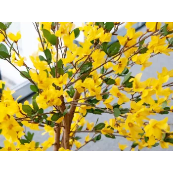EUROPALMS umelý forsythia strom s 3 kmeňmi, žltá, 150cm 82507102