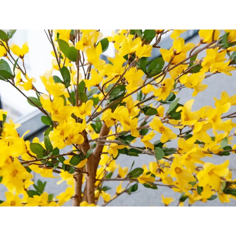 EUROPALMS umelý forsythia strom s 3 kmeňmi, žltá, 150cm 82507102