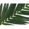 EUROPALMS umelý kokosový palmový list, 150 cm 82509845