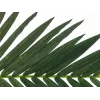 EUROPALMS umelý kokosový palmový list, 150 cm 82509845