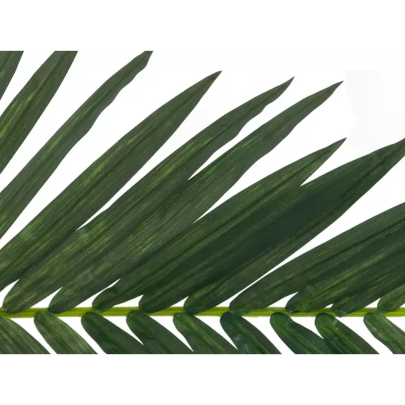 EUROPALMS umelý kokosový palmový list, 150 cm 82509845