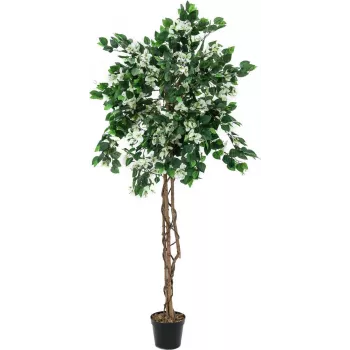 EUROPALMS Bougainvillea umelá rastlina, biela, 150cm 82507085