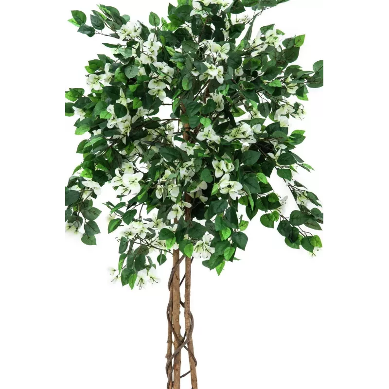 EUROPALMS Bougainvillea umelá rastlina, biela, 150cm 82507085