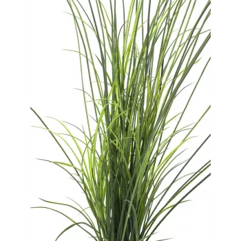 EUROPALMS umelá trstina, 145cm, zelená/hnedá, predpestovaná 82600229