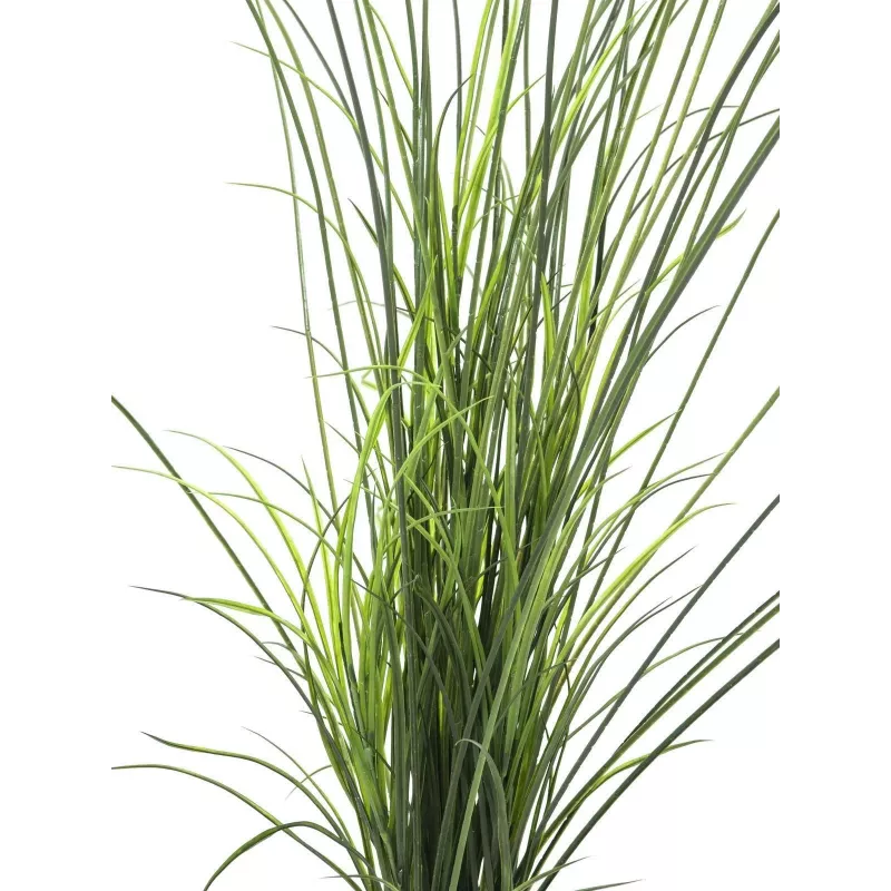 EUROPALMS umelá trstina, 145cm, zelená/hnedá, predpestovaná 82600229