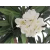 EUROPALMS oleander strom, umelá rastlina, biela, 120 cm (82507246)