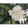 EUROPALMS oleander strom, umelá rastlina, biela, 120 cm (82507246)