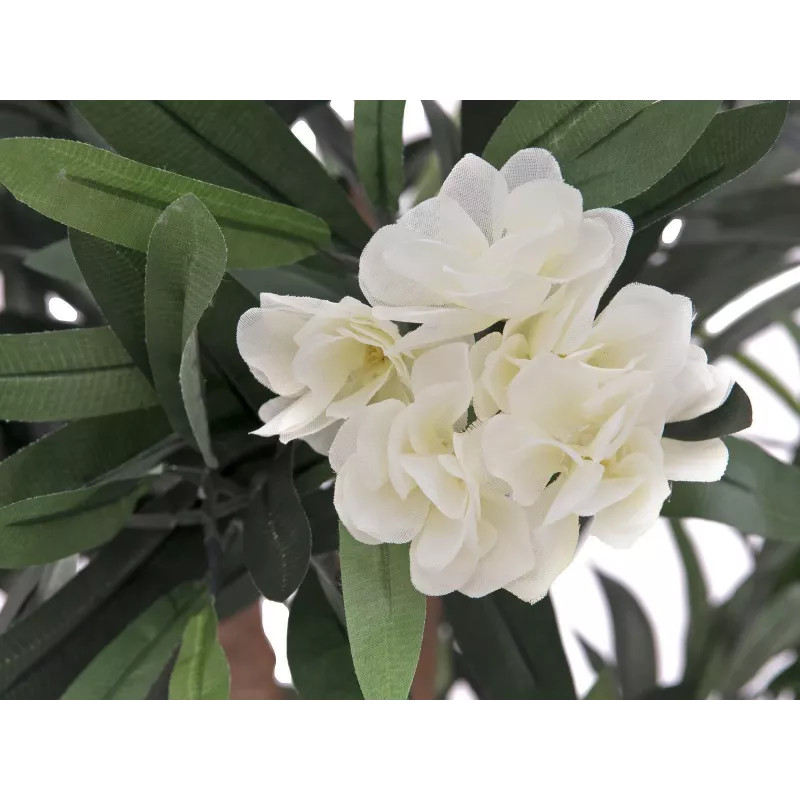 EUROPALMS oleander strom, umelá rastlina, biela, 120 cm (82507246)