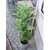 EUROPALMS Dieffenbachia umelá rastlina 120cm 82508306