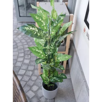 EUROPALMS Dieffenbachia umelá rastlina 120cm 82508306
