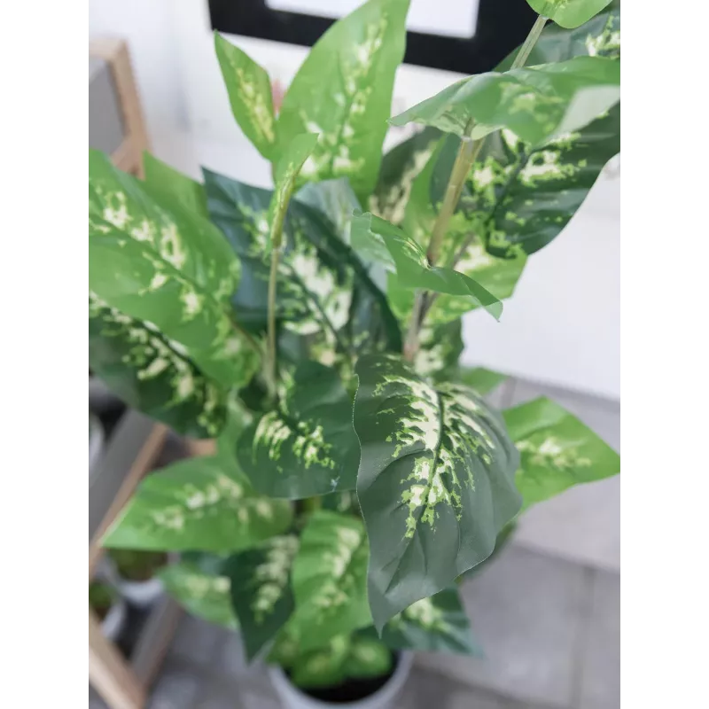 EUROPALMS Dieffenbachia umelá rastlina 120cm 82508306