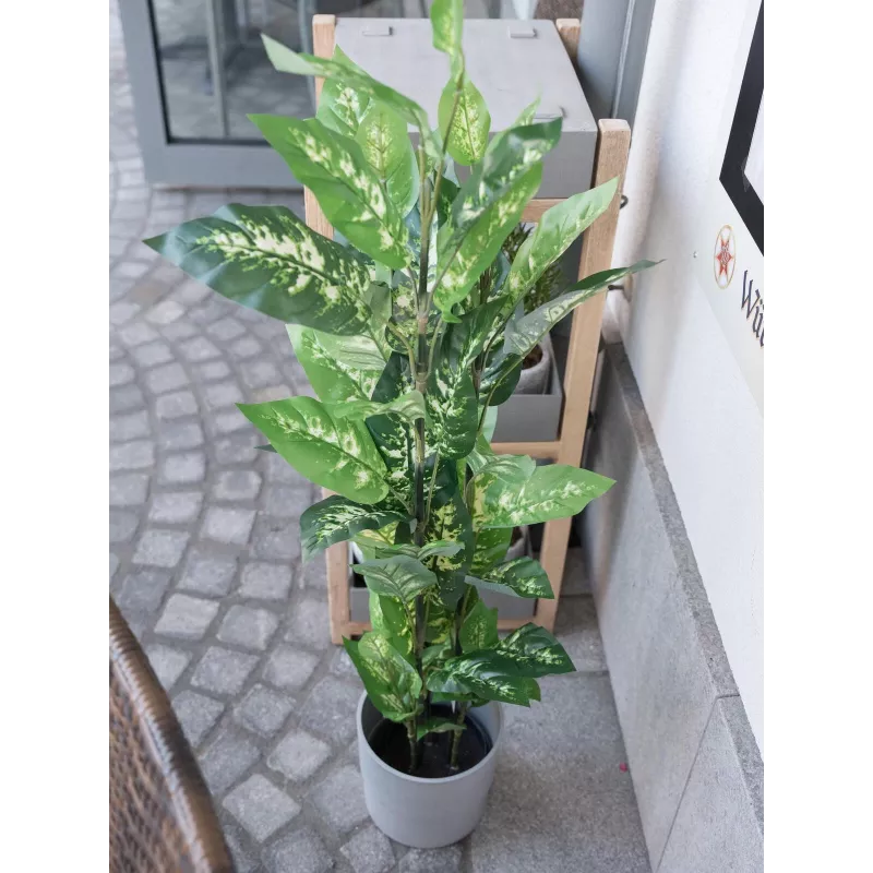 EUROPALMS Dieffenbachia umelá rastlina 120cm 82508306