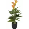 EUROPALMS Calla mini umelá rastlina, žlto-oranžová, 43 cm 82540346