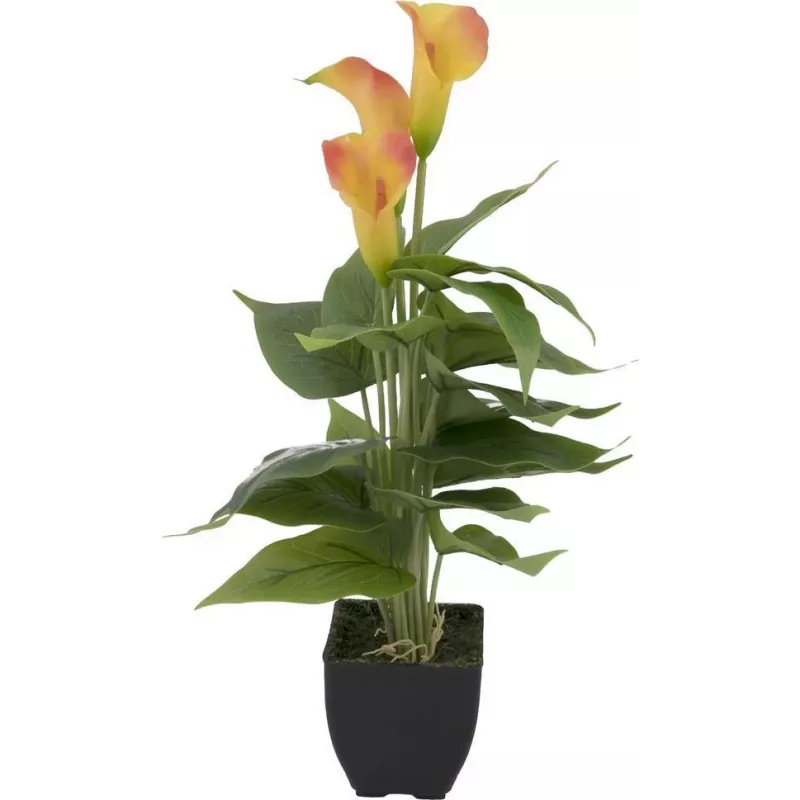 EUROPALMS Calla mini umelá rastlina, žlto-oranžová, 43 cm 82540346