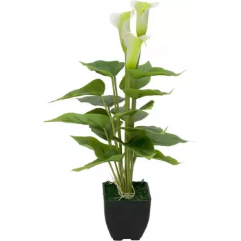 EUROPALMS Calla mini umelá rastlina kala, biela, 43 cm 82540347