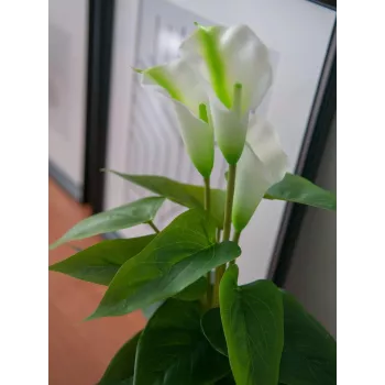 EUROPALMS Calla mini umelá rastlina kala, biela, 43 cm 82540347