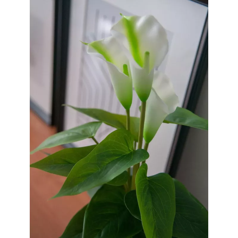 EUROPALMS Calla mini umelá rastlina kala, biela, 43 cm 82540347