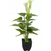 EUROPALMS Calla mini umelá rastlina kala, biela, 43 cm 82540347