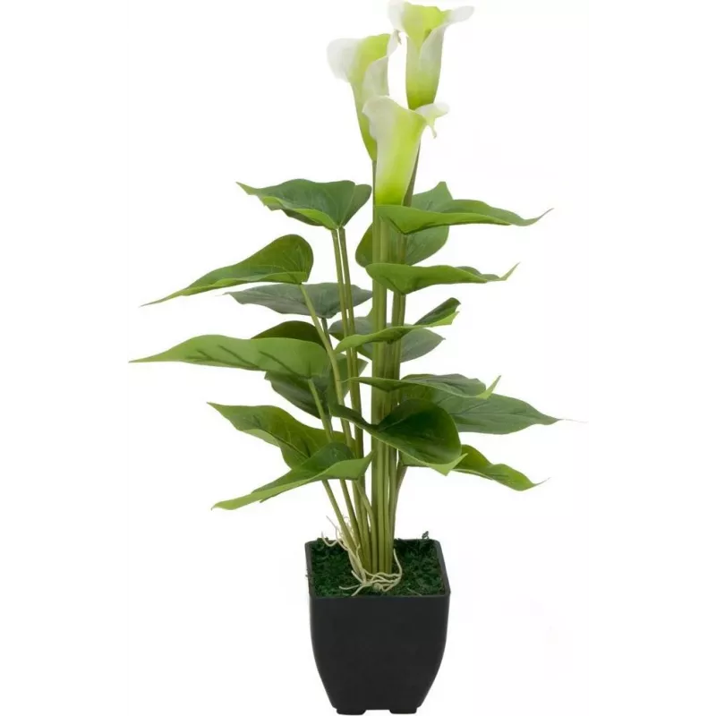 EUROPALMS Calla mini umelá rastlina kala, biela, 43 cm 82540347