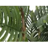 EUROPALMS Kentia palma umelá rastlina 140cm 82511361
