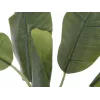 EUROPALMS umelá banánová rastlina, 100cm, zelené listy, čierny kvetináč 82509503