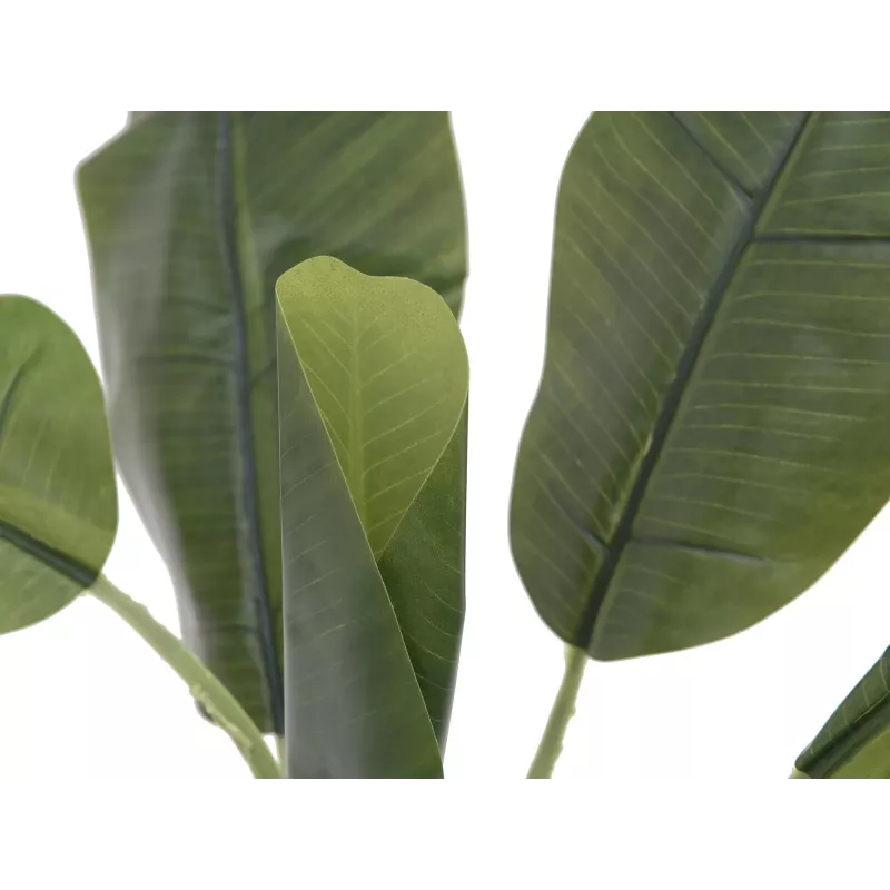 EUROPALMS umelá banánová rastlina, 100cm, zelené listy, čierny kvetináč 82509503