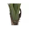 EUROPALMS umelá banánová rastlina, 100cm, zelené listy, čierny kvetináč 82509503