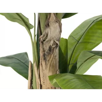 EUROPALMS umelý banánovník, 170cm, zelené listy, čierny kvetináč 82509539