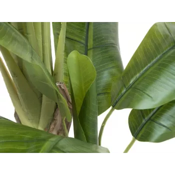 EUROPALMS umelý banánovník, 170cm, zelené listy, čierny kvetináč 82509539