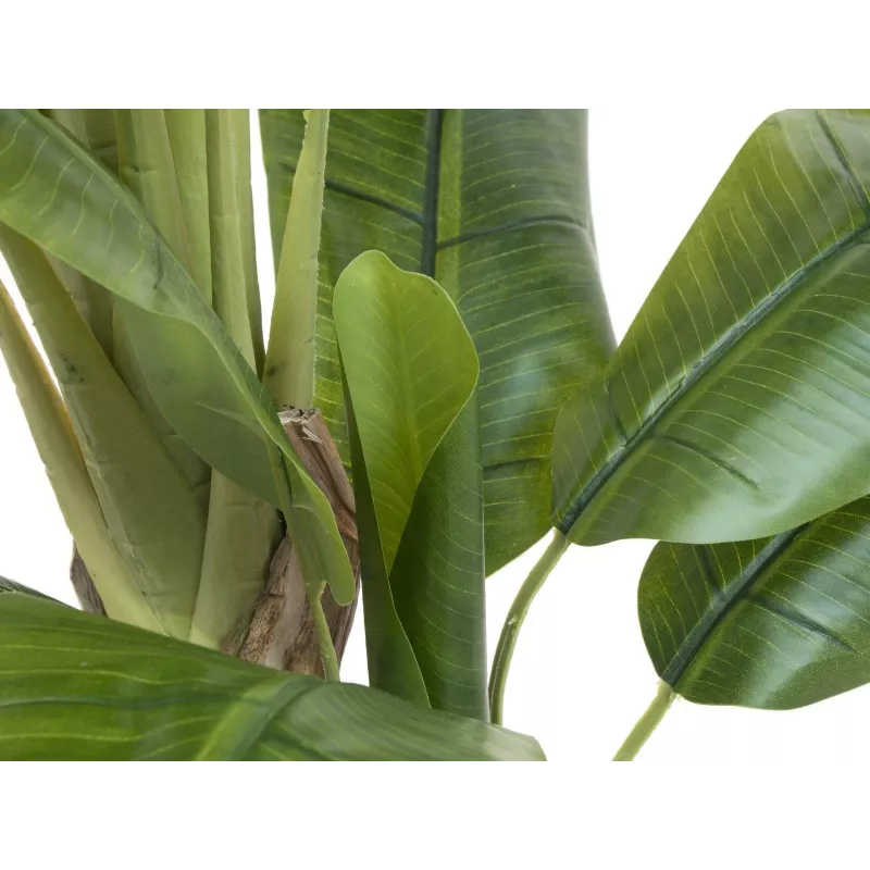 EUROPALMS umelý banánovník, 170cm, zelené listy, čierny kvetináč 82509539