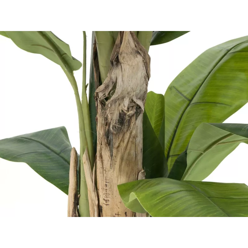 EUROPALMS umelý banánovník, 170cm, zelené listy, čierny kvetináč 82509539