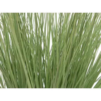 EUROPALMS umelá okrasná tráva, 65 cm, zelená, čierny kvetináč 82600145