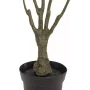 EUROPALMS umelá rastlina dracéna, zeleno-červená, 90cm 82505778