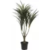 EUROPALMS umelá rastlina dracéna, zeleno-červená, 90cm 82505778