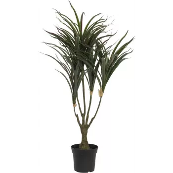 EUROPALMS umelá rastlina dracéna, zeleno-červená, 90cm 82505778