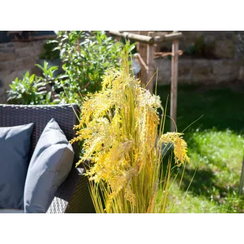 EUROPALMS umelý zväzok trstiny, 118 cm 82600136
